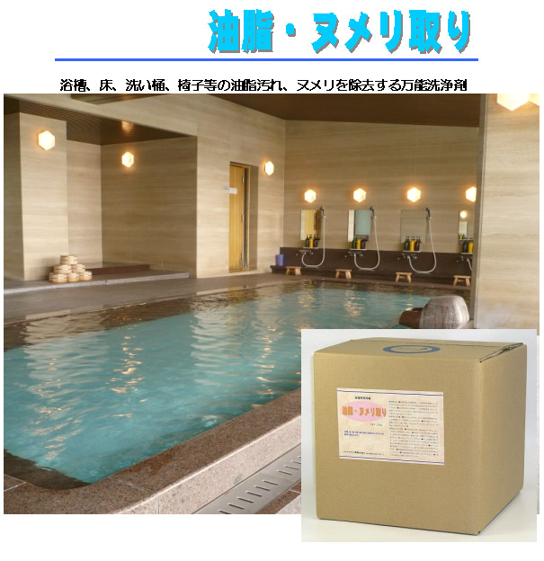 クリアライト工業 油脂・ヌメリ取り - 浴場用万能洗浄剤 01